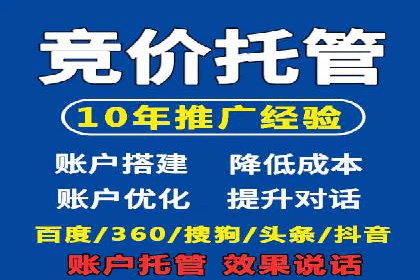 百度竞价代运营公司成功案例揭秘：策略与执行